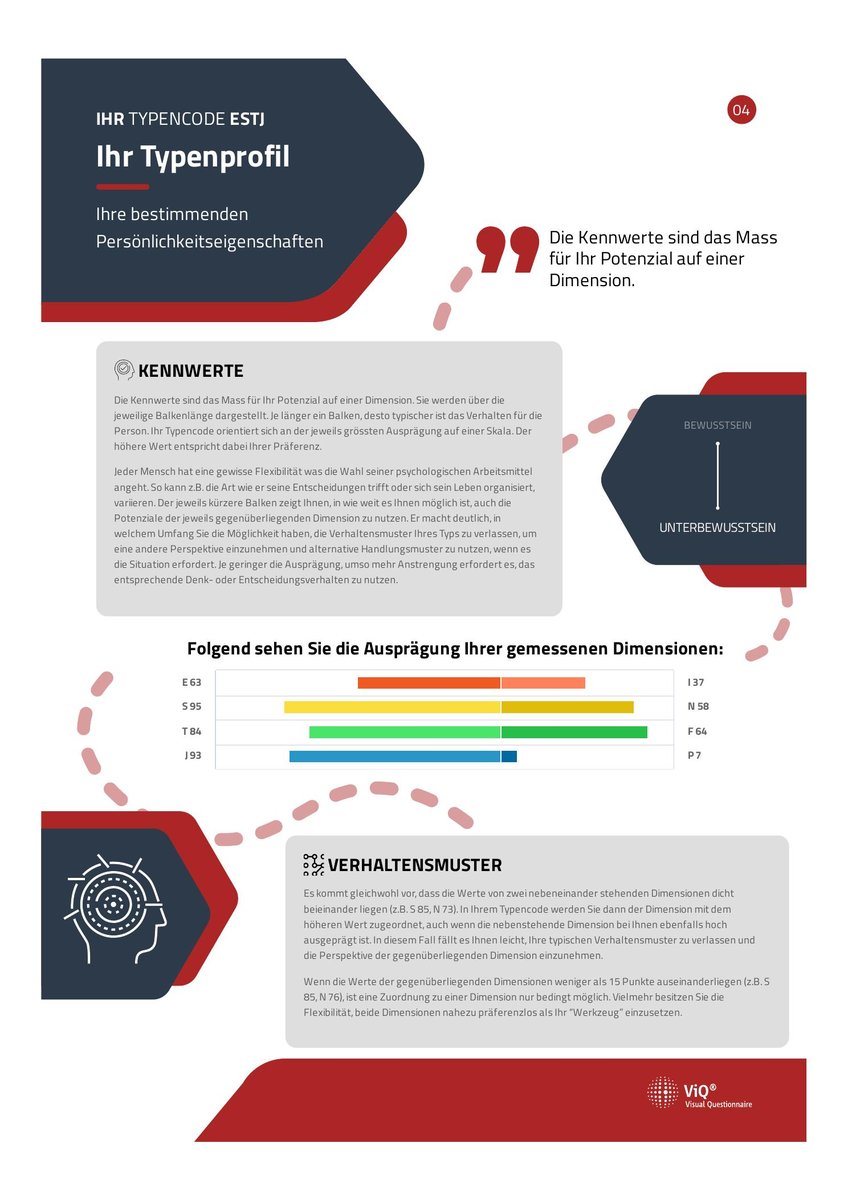 ViQ® Report Seite 5